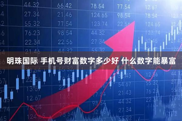 明珠国际 手机号财富数字多少好 什么数字能暴富